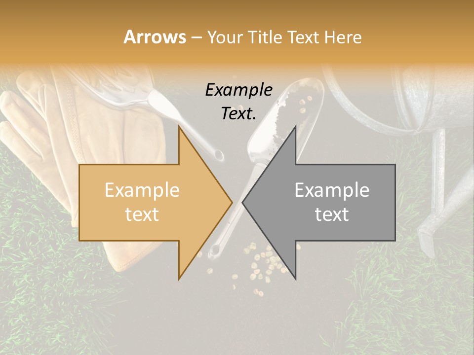 Space Spring Grow PowerPoint Template