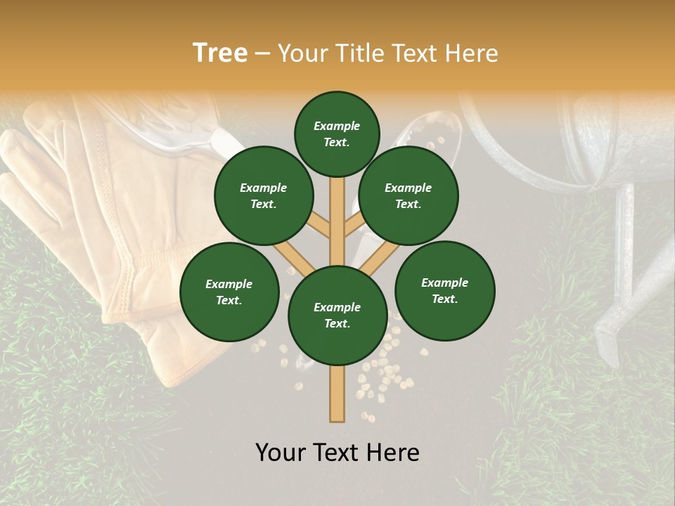 Space Spring Grow PowerPoint Template