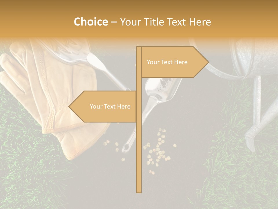 Space Spring Grow PowerPoint Template