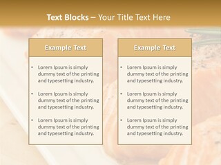 Plate Appetising Gourmet PowerPoint Template