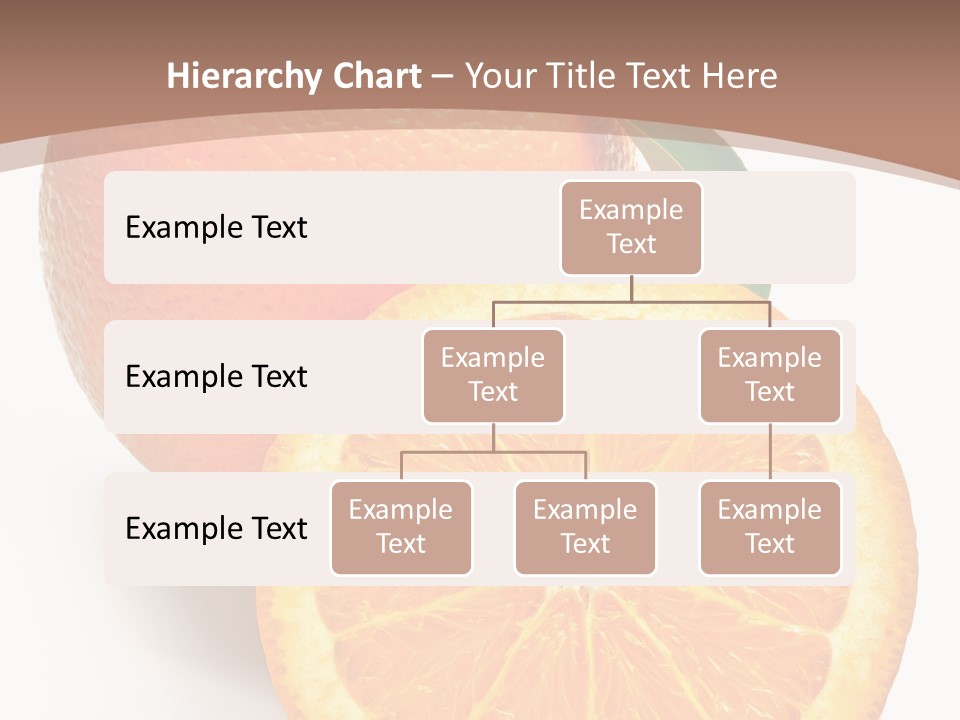 Fresh Cut Orange PowerPoint Template