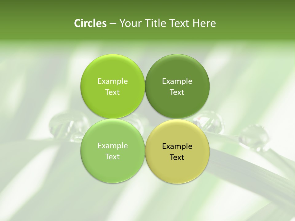 Harmony Dew Drop Environment PowerPoint Template