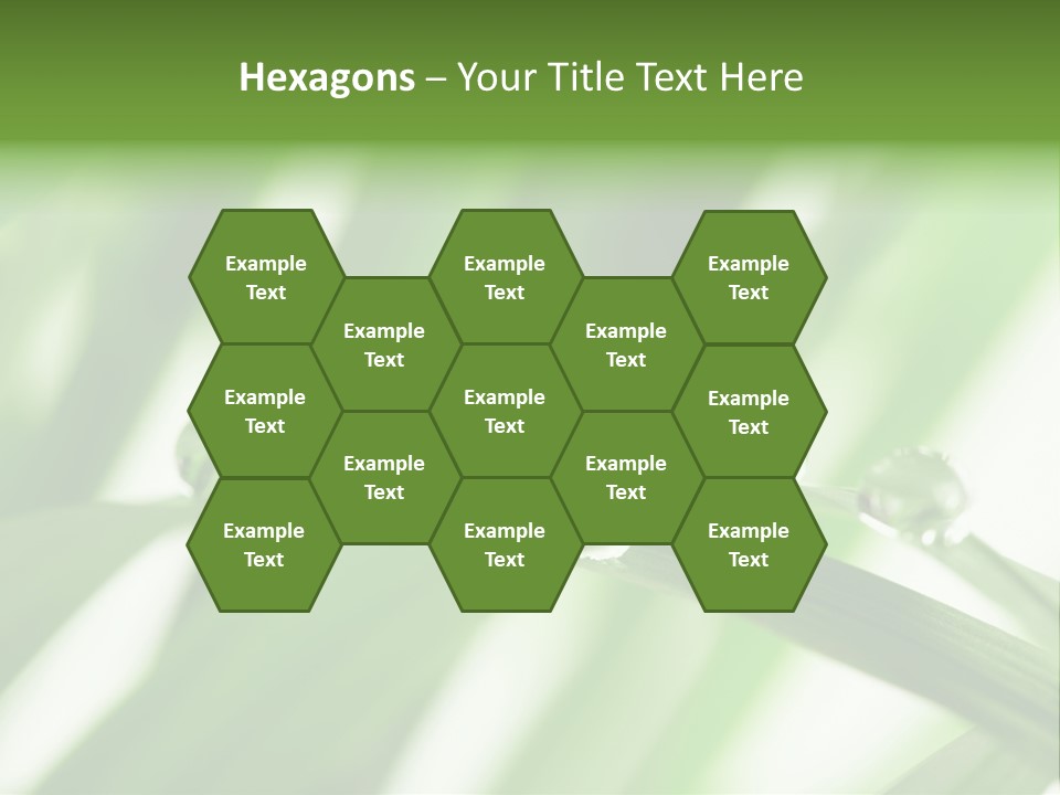 Harmony Dew Drop Environment PowerPoint Template