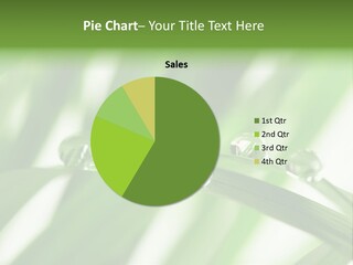 Harmony Dew Drop Environment PowerPoint Template