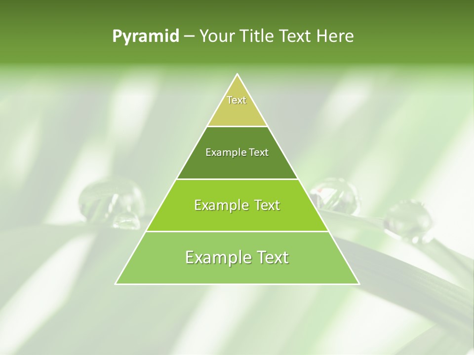 Harmony Dew Drop Environment PowerPoint Template