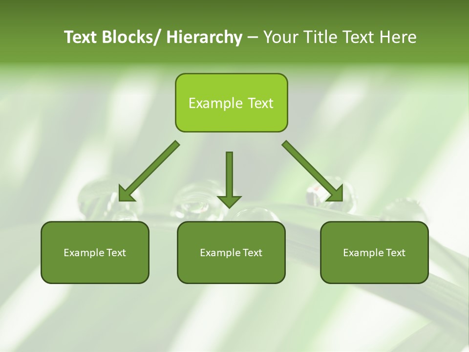Harmony Dew Drop Environment PowerPoint Template