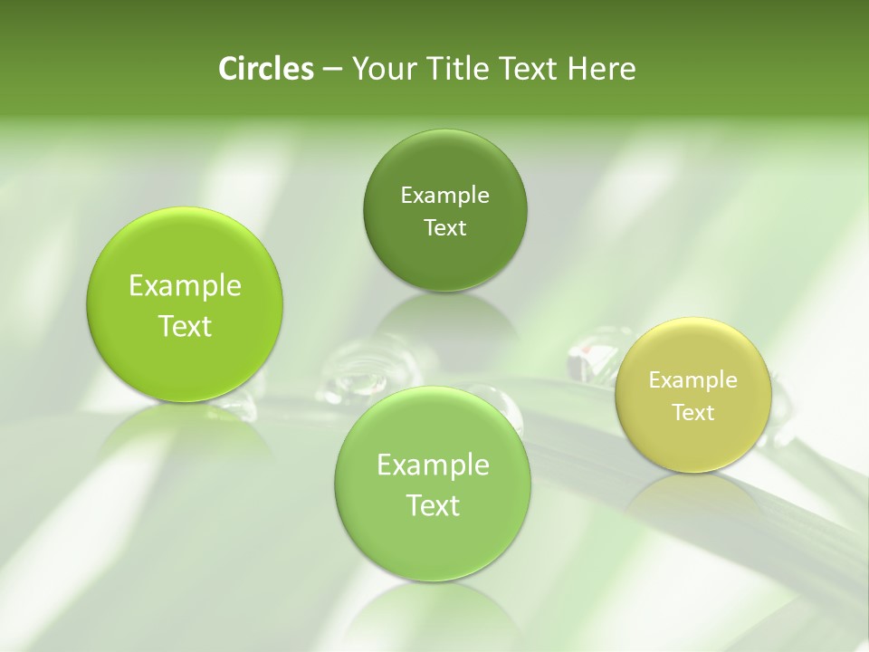 Harmony Dew Drop Environment PowerPoint Template