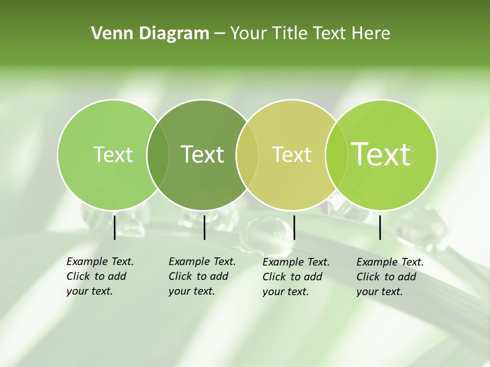 Harmony Dew Drop Environment PowerPoint Template