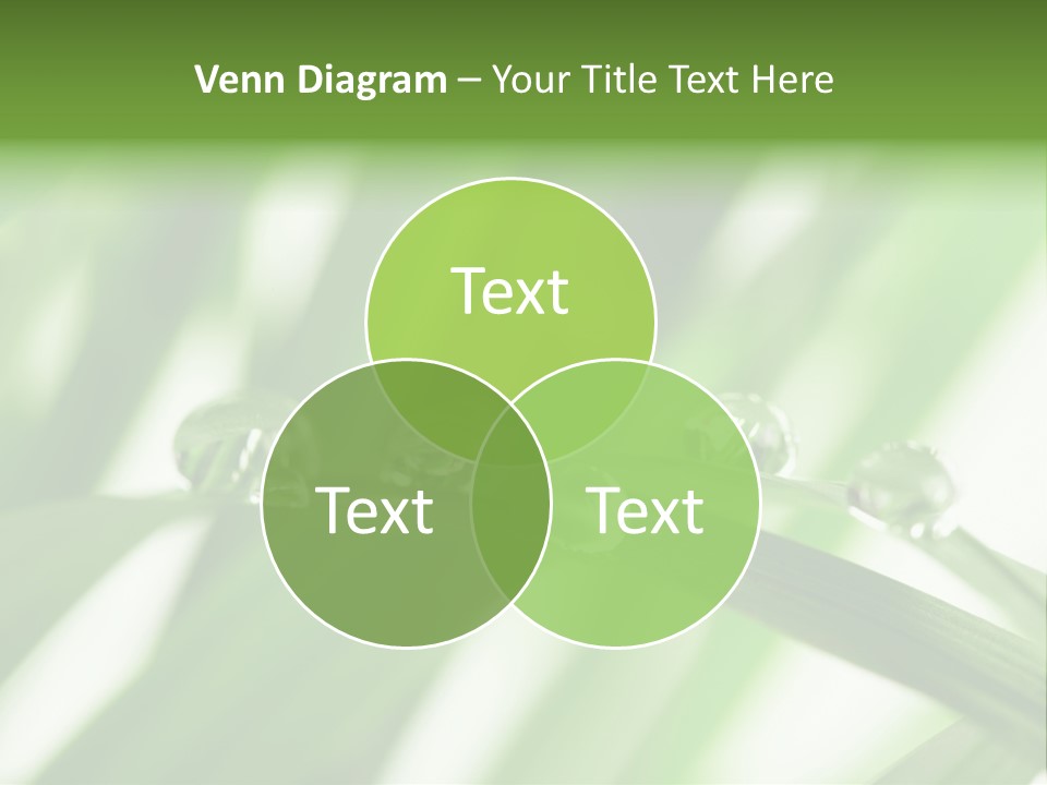 Harmony Dew Drop Environment PowerPoint Template