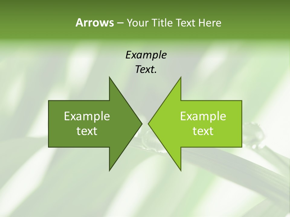 Harmony Dew Drop Environment PowerPoint Template