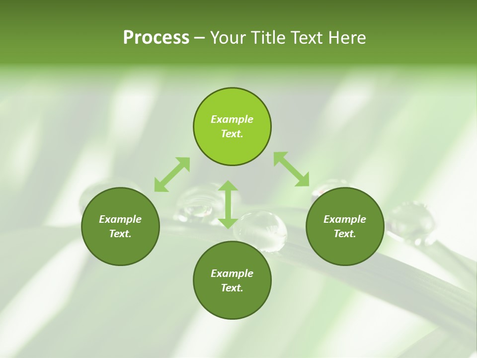 Harmony Dew Drop Environment PowerPoint Template