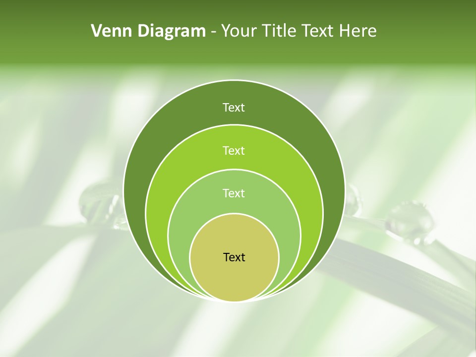 Harmony Dew Drop Environment PowerPoint Template