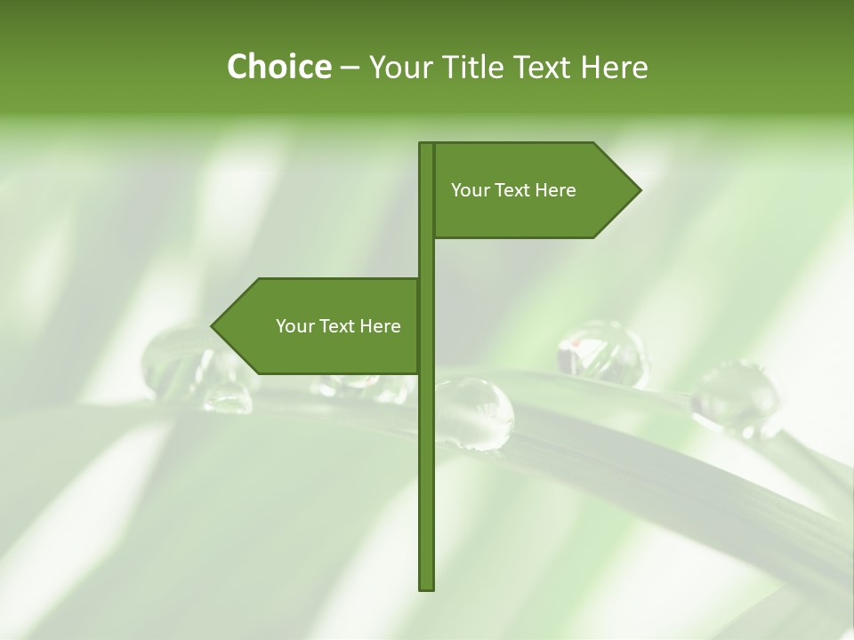 Harmony Dew Drop Environment PowerPoint Template