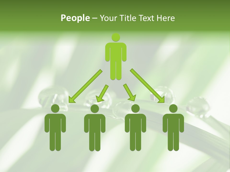 Harmony Dew Drop Environment PowerPoint Template