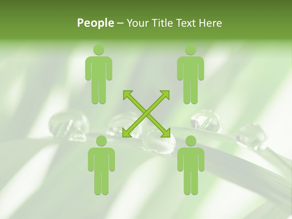 Harmony Dew Drop Environment PowerPoint Template