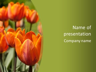 Orange Background Garden PowerPoint Template