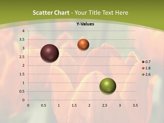 Orange Background Garden PowerPoint Template