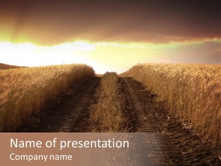 Ripe Cereal Country PowerPoint Template