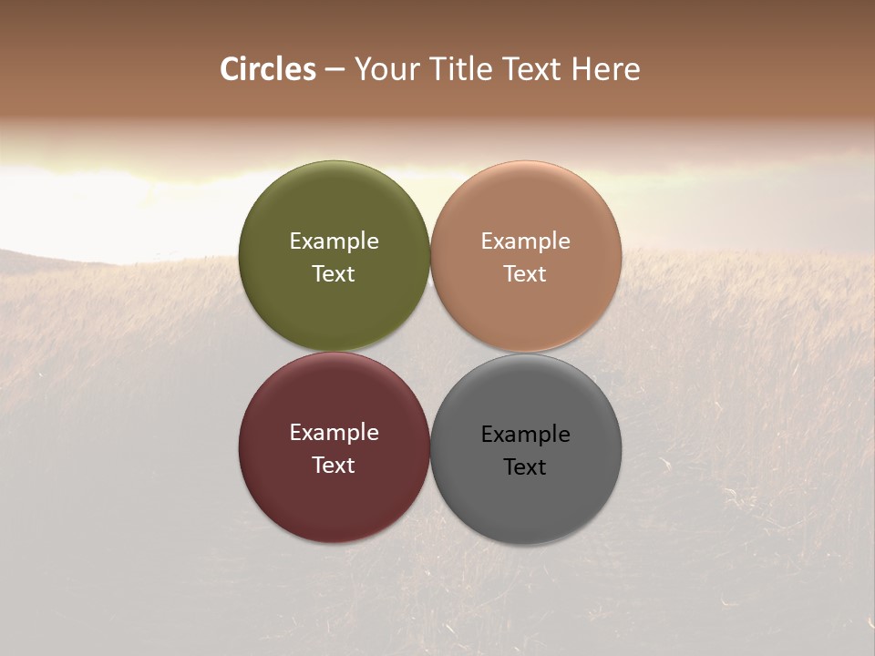 Ripe Cereal Country PowerPoint Template