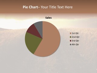 Ripe Cereal Country PowerPoint Template