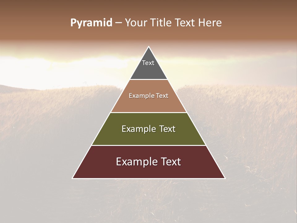 Ripe Cereal Country PowerPoint Template