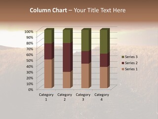 Ripe Cereal Country PowerPoint Template