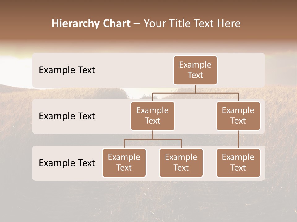 Ripe Cereal Country PowerPoint Template