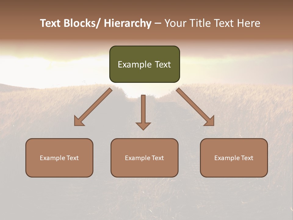 Ripe Cereal Country PowerPoint Template
