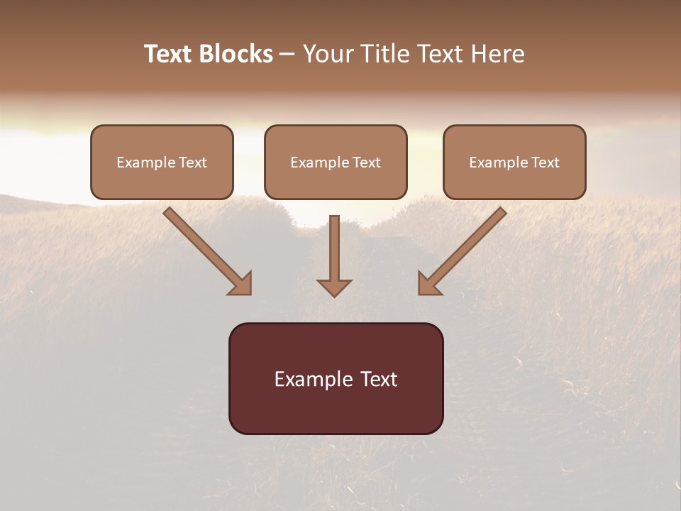 Ripe Cereal Country PowerPoint Template