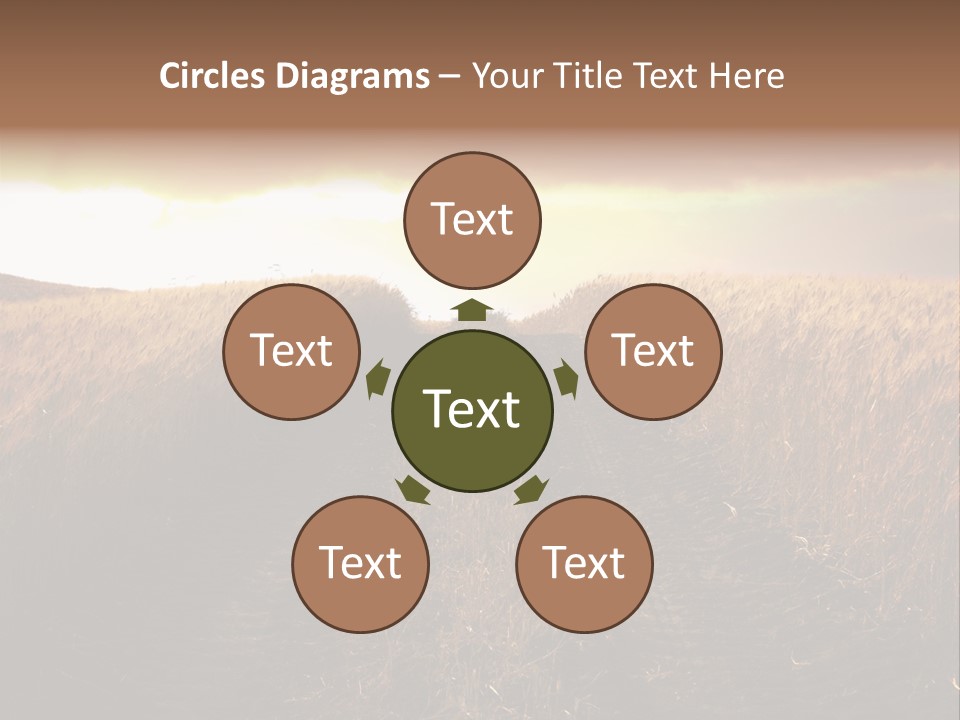 Ripe Cereal Country PowerPoint Template