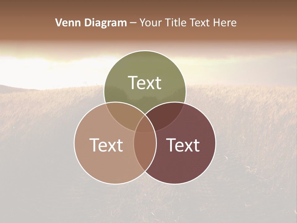 Ripe Cereal Country PowerPoint Template