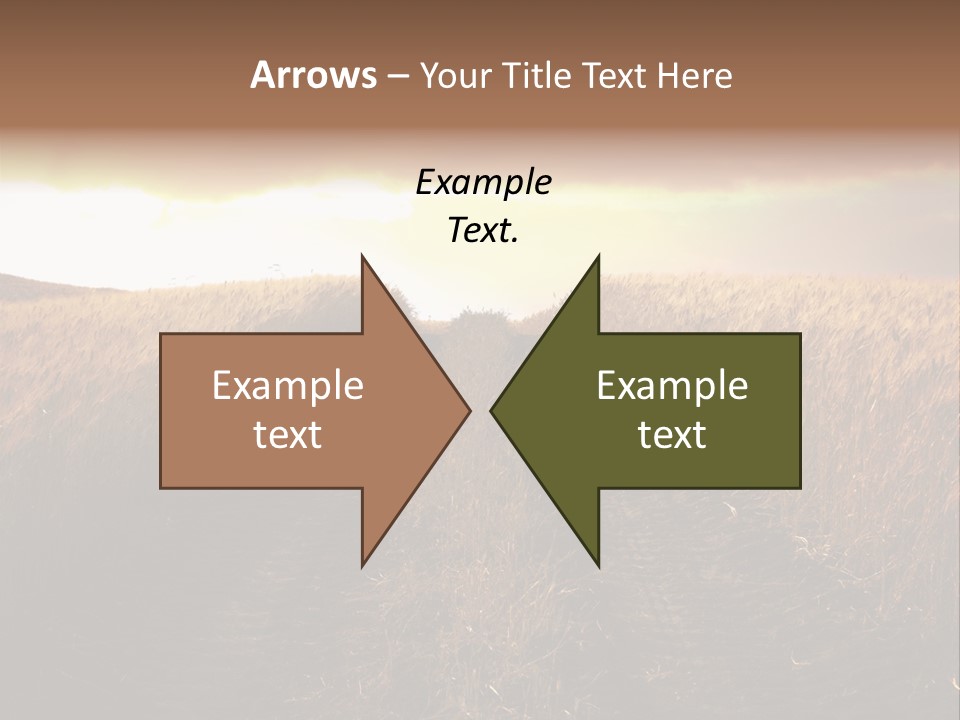 Ripe Cereal Country PowerPoint Template