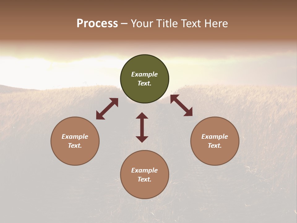 Ripe Cereal Country PowerPoint Template