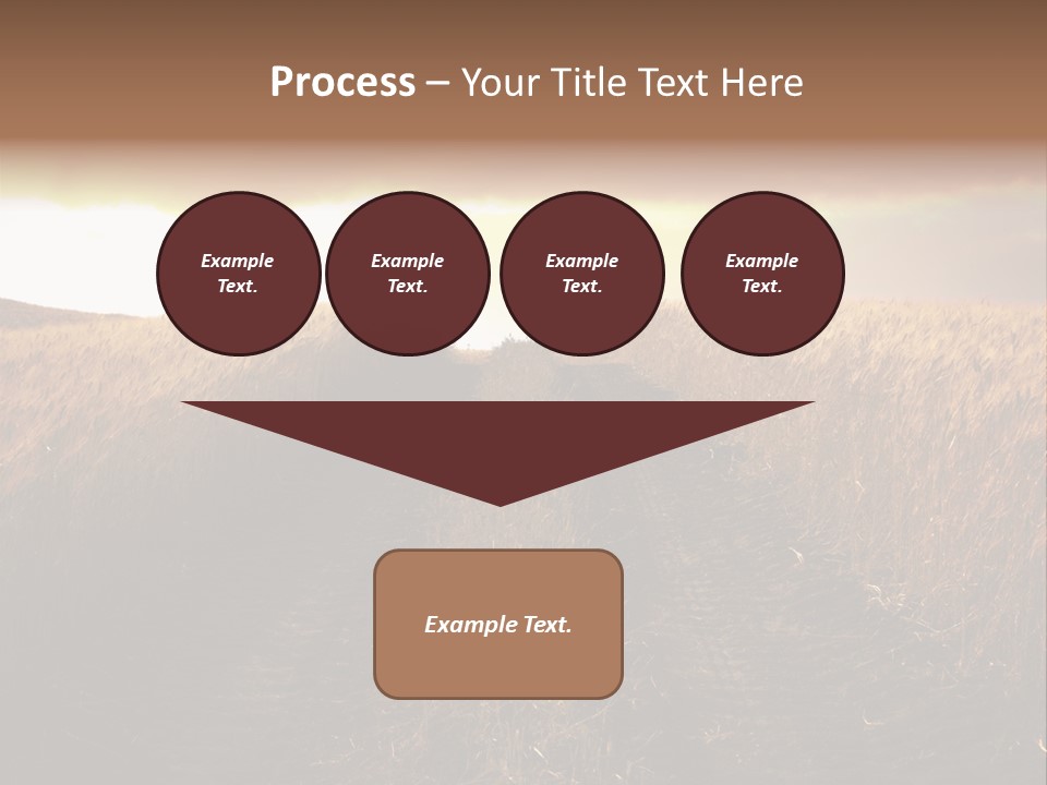 Ripe Cereal Country PowerPoint Template