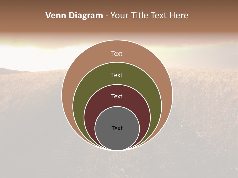 Ripe Cereal Country PowerPoint Template