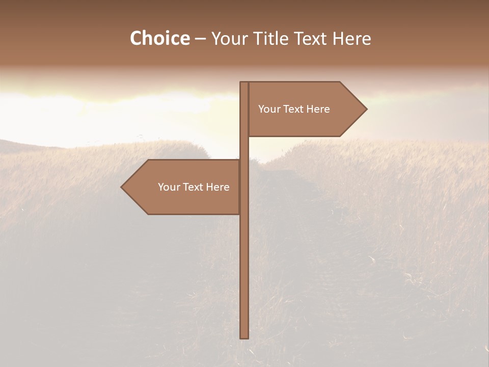 Ripe Cereal Country PowerPoint Template