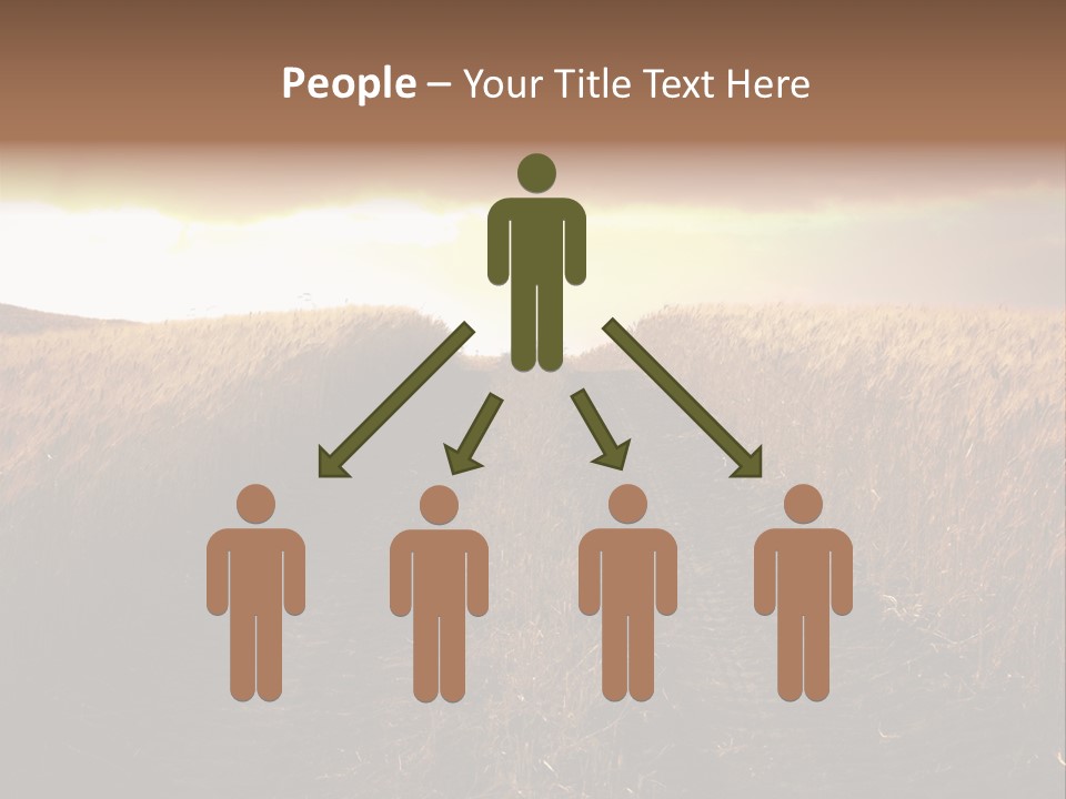 Ripe Cereal Country PowerPoint Template