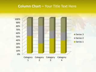 Soft Sunlit White PowerPoint Template