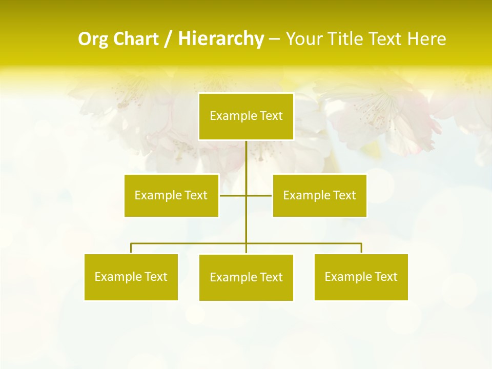 Soft Sunlit White PowerPoint Template
