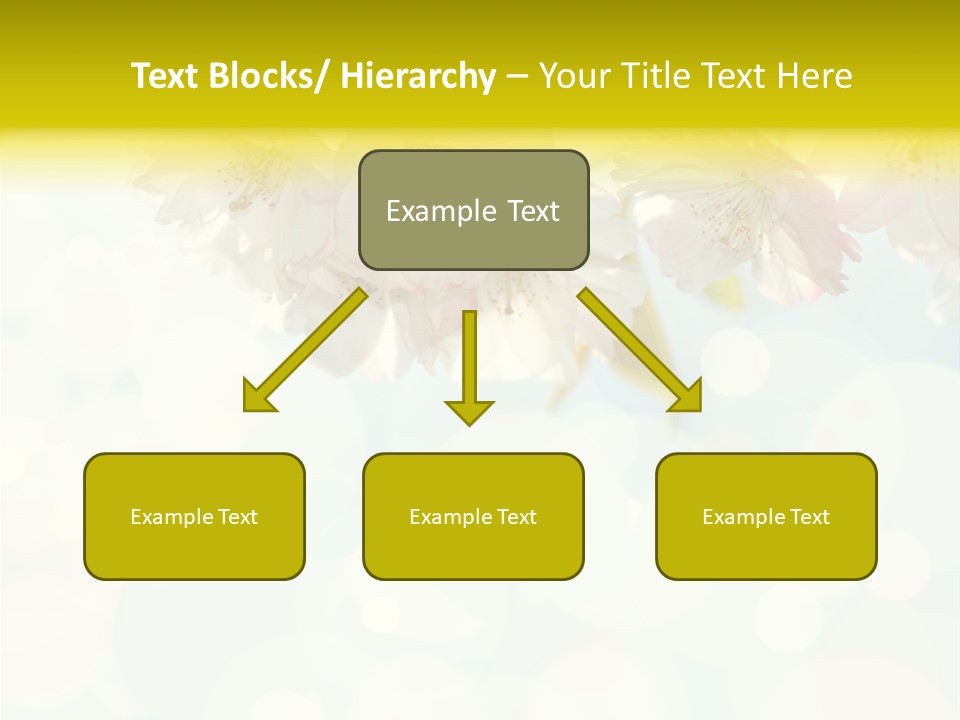 Soft Sunlit White PowerPoint Template