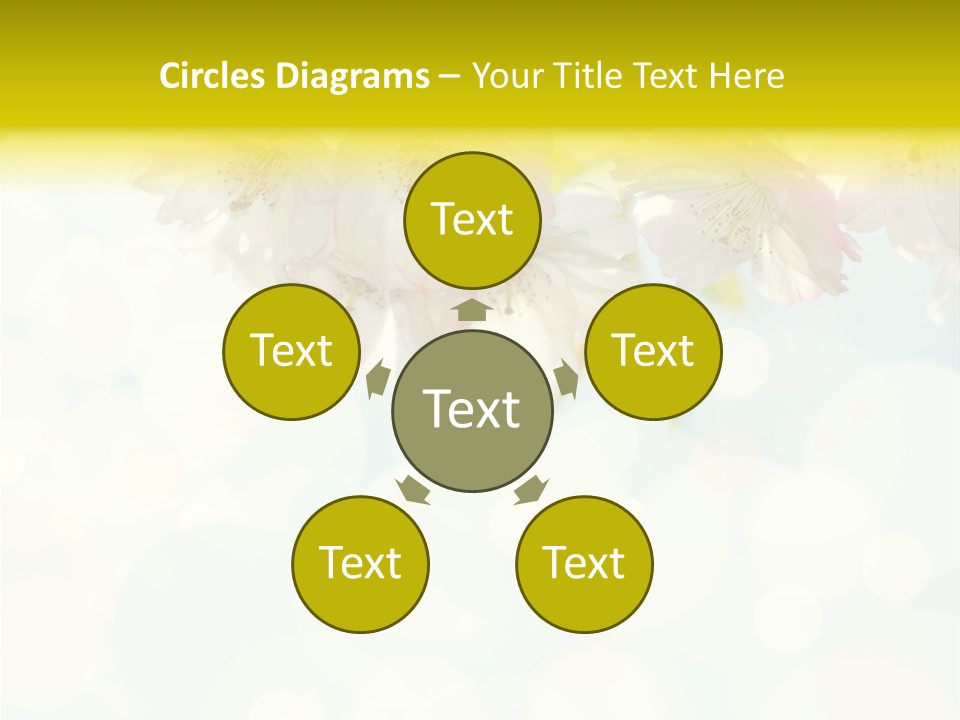 Soft Sunlit White PowerPoint Template