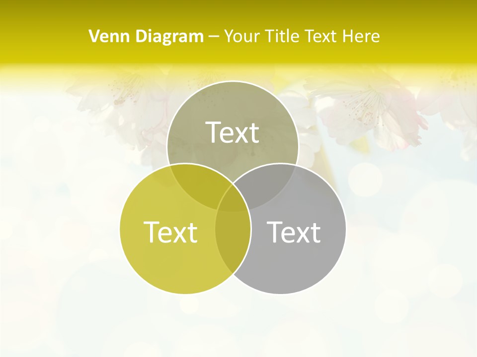 Soft Sunlit White PowerPoint Template