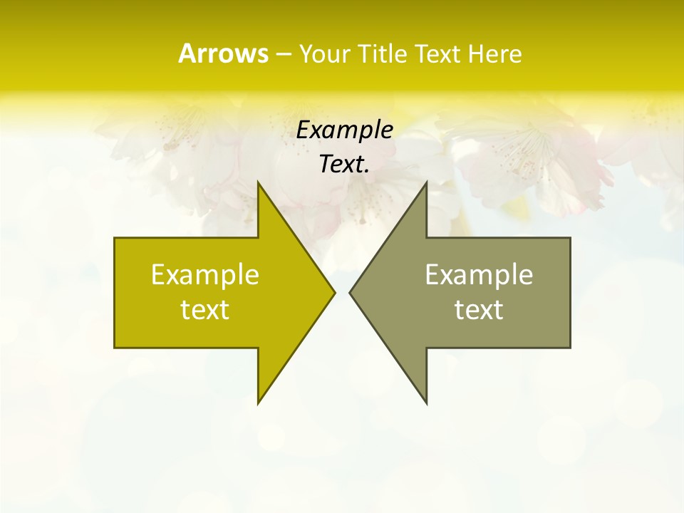 Soft Sunlit White PowerPoint Template