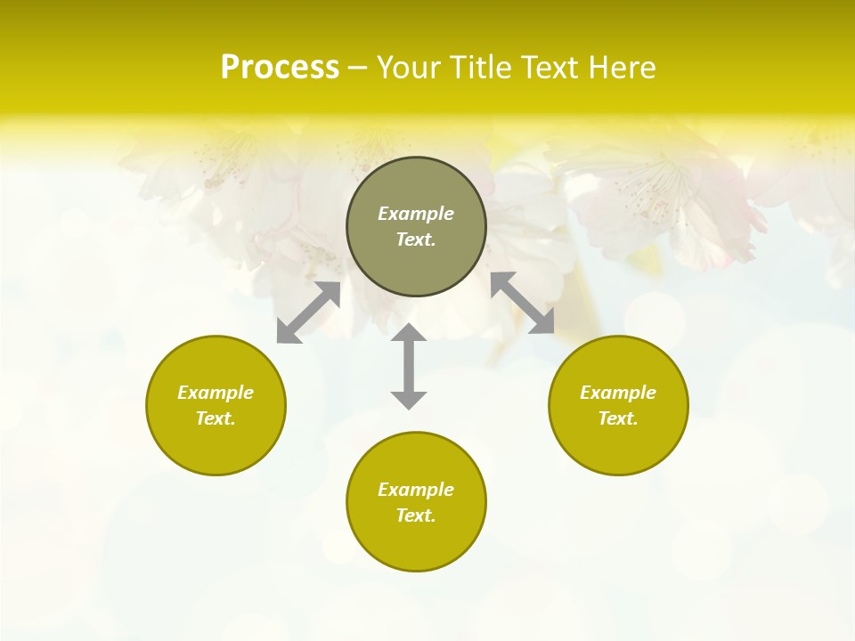 Soft Sunlit White PowerPoint Template