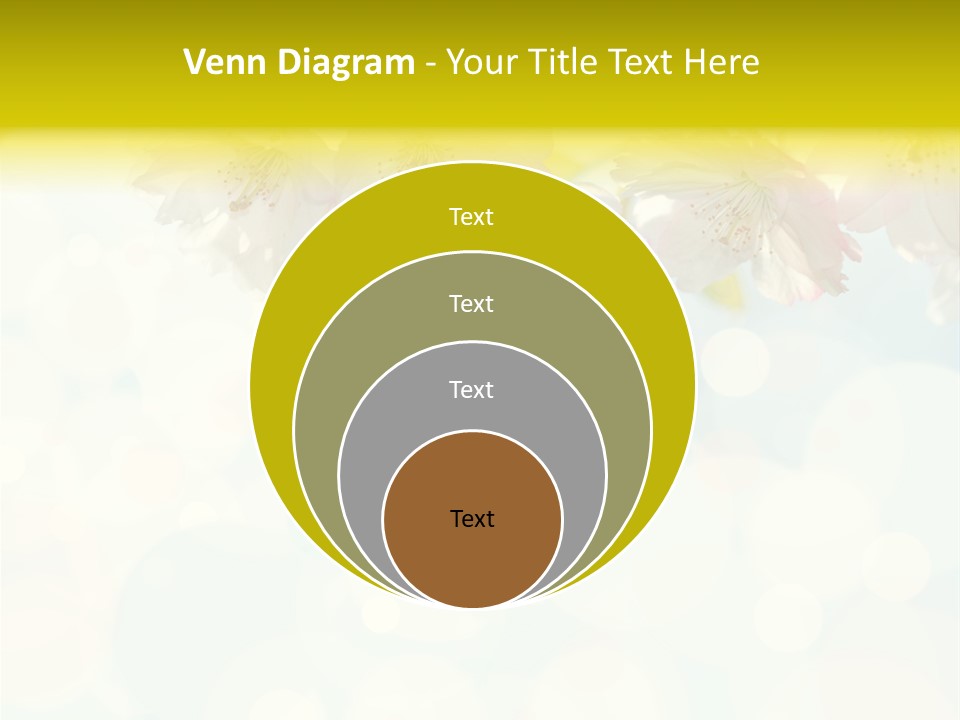 Soft Sunlit White PowerPoint Template