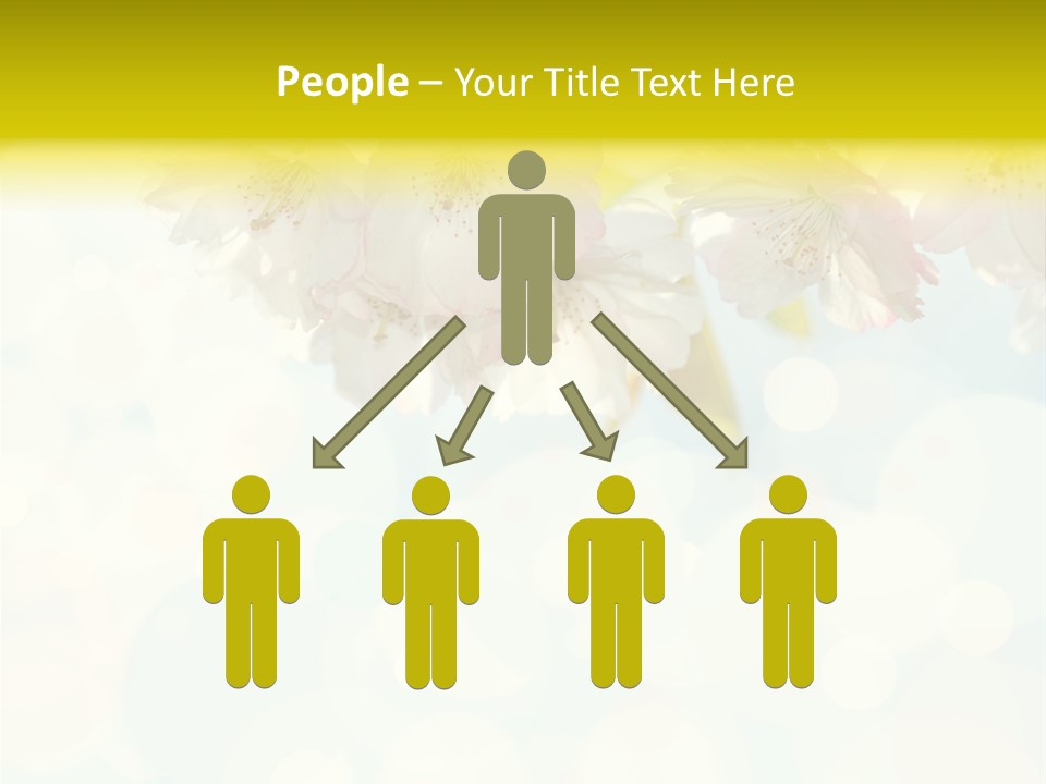 Soft Sunlit White PowerPoint Template