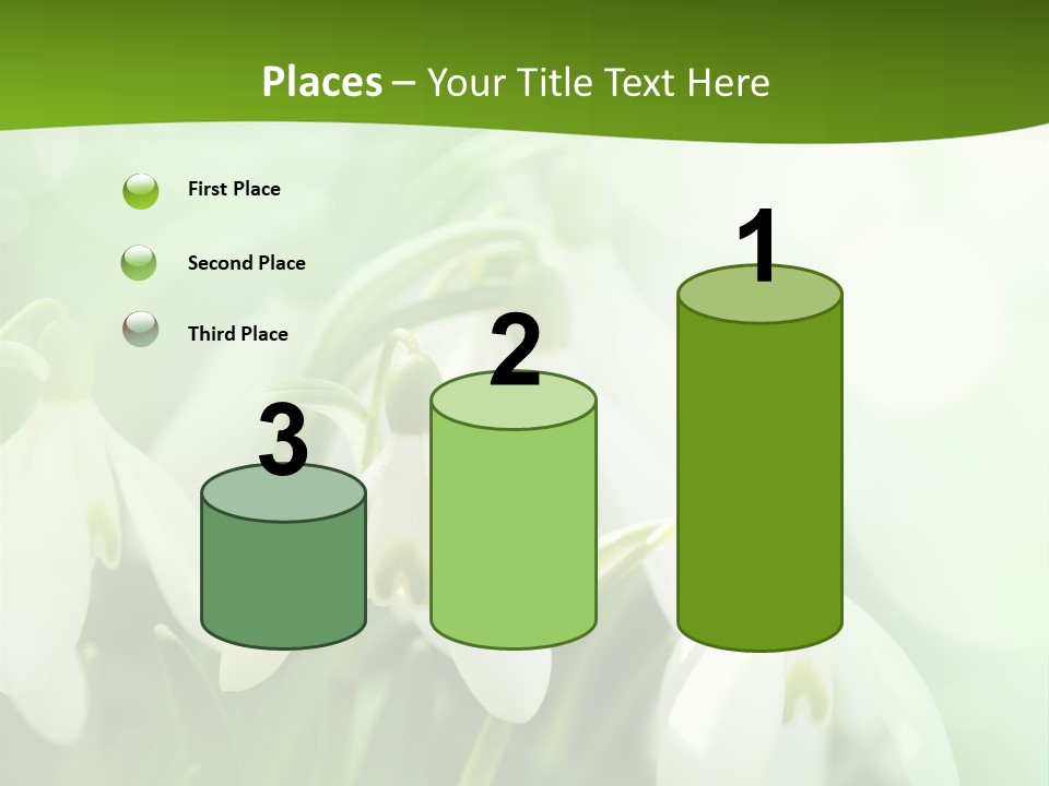 Background Holiday Season PowerPoint Template