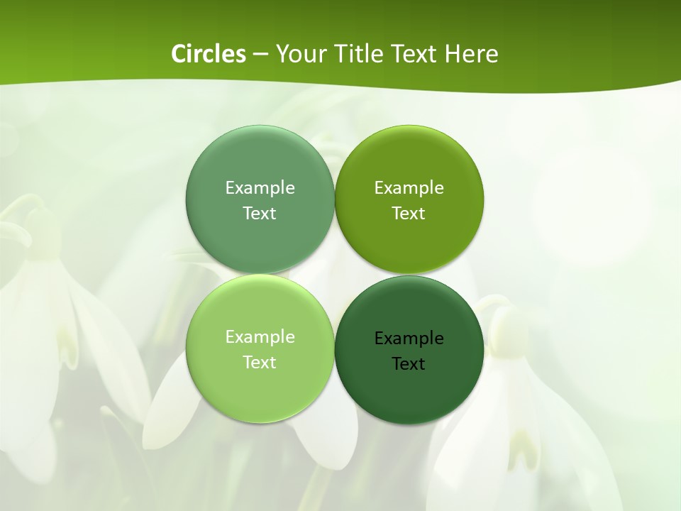 Background Holiday Season PowerPoint Template