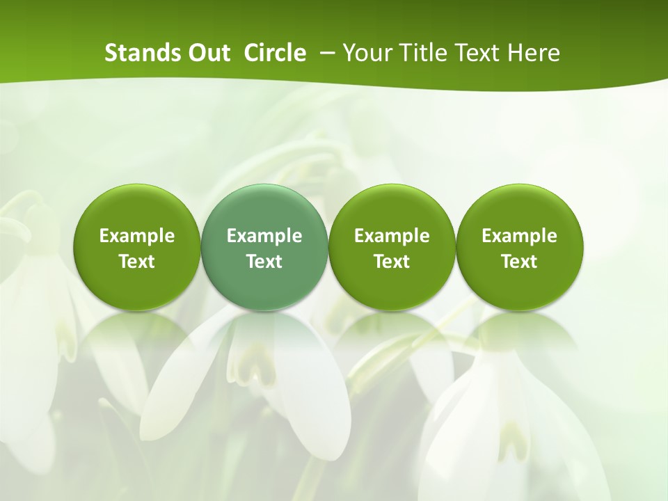 Background Holiday Season PowerPoint Template