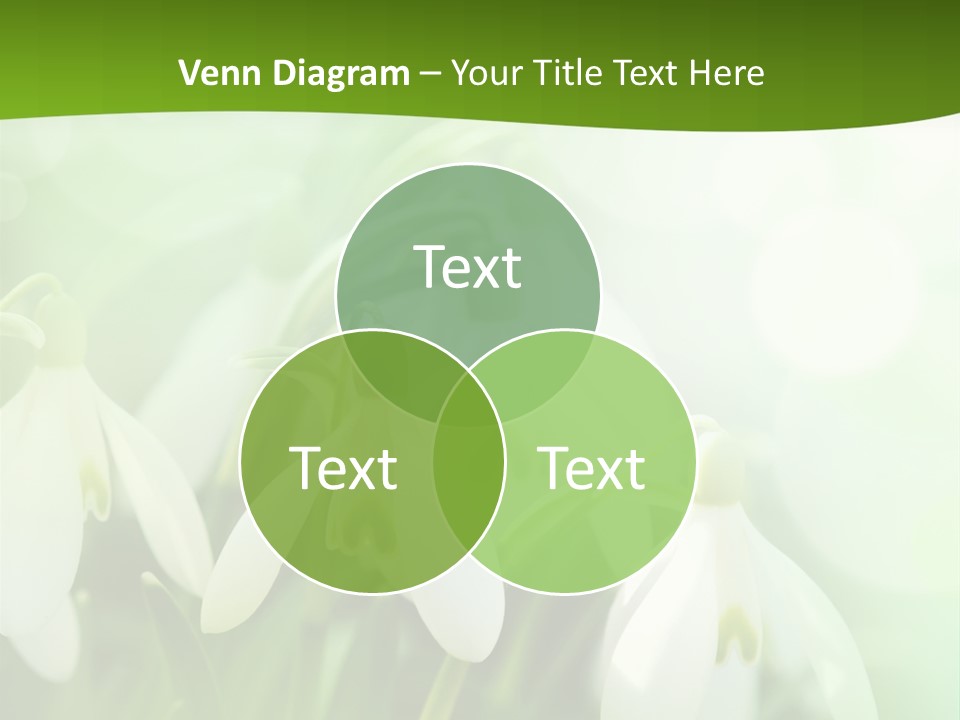 Background Holiday Season PowerPoint Template